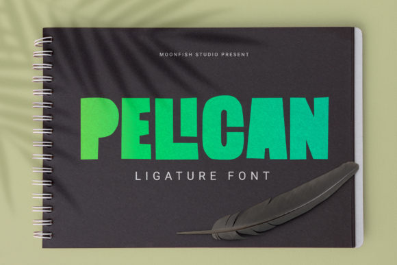 Bring Your Creations to Life with Pelican Font