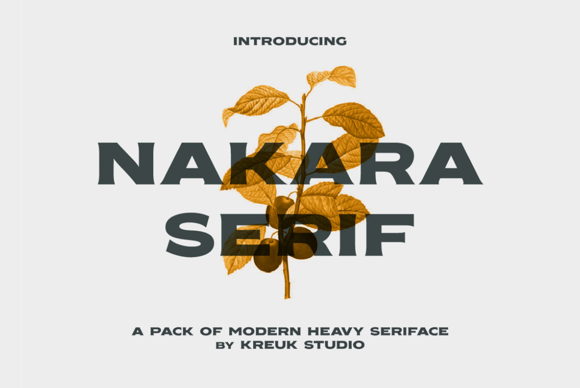 Discover the Bold Charm of Nakara Serif for Makers