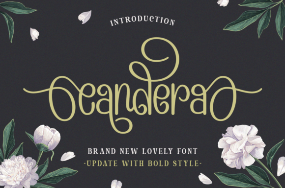 Discover the Charm of Candera: A Font for Makers