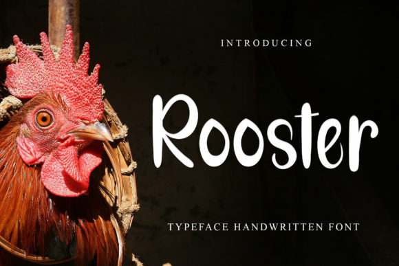 Rooster Font: The Playful Display Typeface for Campaign Punch