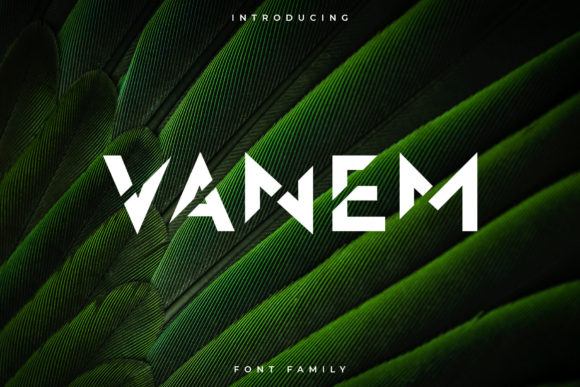 Vanem: A Display Font Built for Dignity and Drama